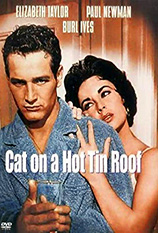 Cat On A Hot Tin Roof poster