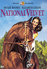 National Velvet poster