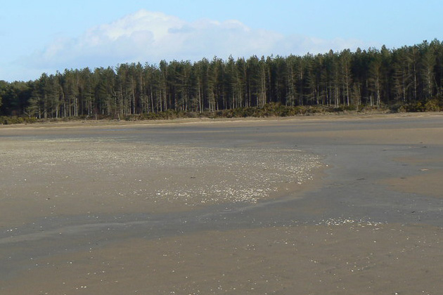 The Odyssey film location: Culbin Forest, Aberdeenshire, Scotland