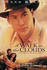 A Walk In The Clouds poster